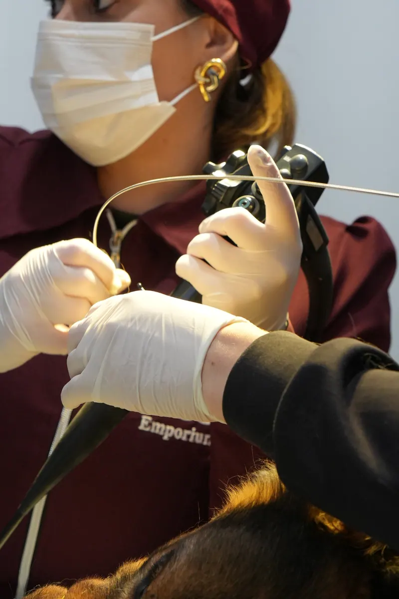 Veterinária da Emporium Pet preparando o endoscópio